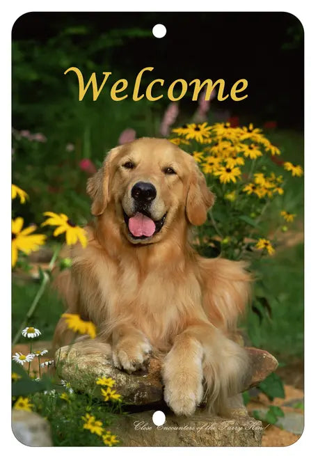 Golden Retriever  - Best of Breed  Indoor/Outdoor Aluminum Sign Best of Breed