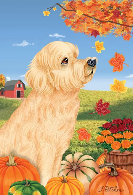 Goldendoodle Blonde  -  Tomoyo Pitcher Autumn Leaves Outdoor Flag Best of Breed
