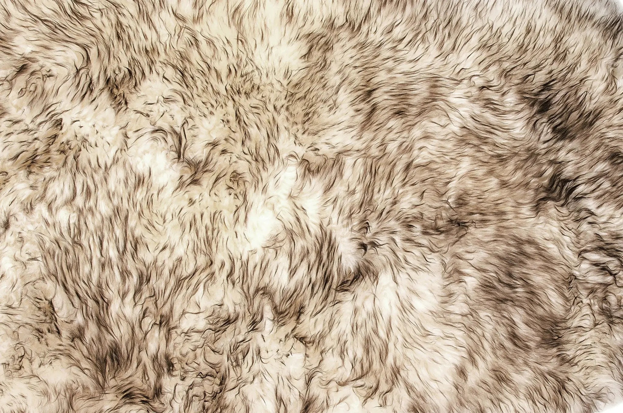 Gradient Chocolate Animal Print Area Rug Homeroots Home Decor