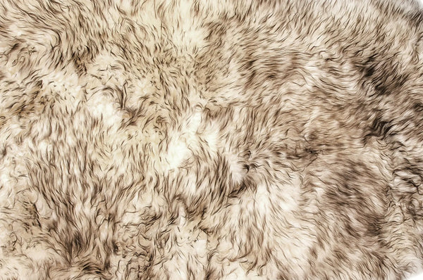 Gradient Chocolate Animal Print Area Rug Homeroots Home Decor