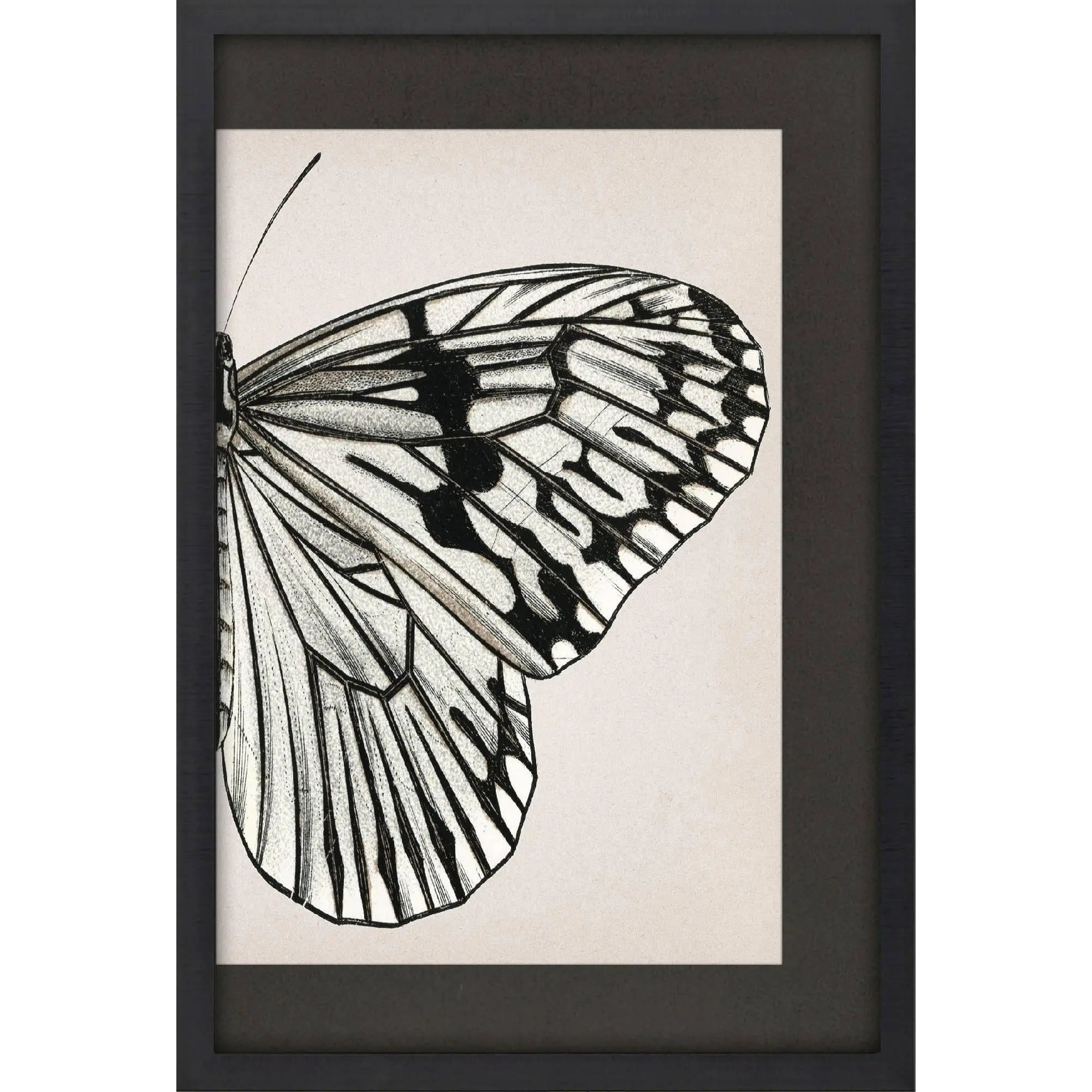 Grand Butterfly II Black Framed Wall Art Homeroots Home Decor