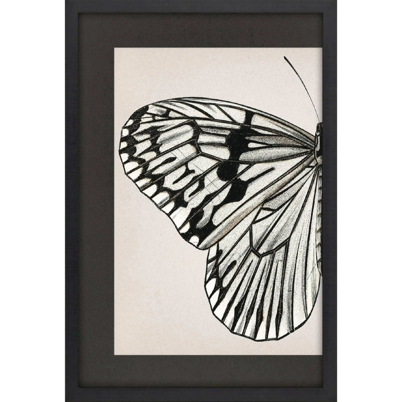 Grand Butterfly II Black Framed Wall Art Homeroots Home Decor