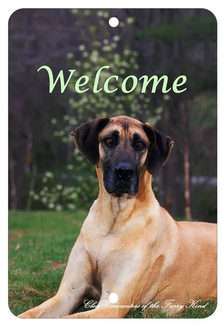 Great Dane - Best of Breed  Indoor/Outdoor Aluminum Sign Best of Breed