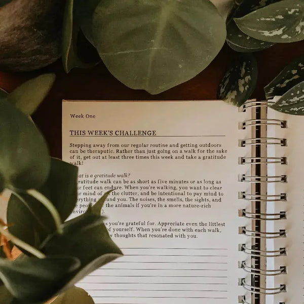 Guided Gratitude Journal - "See The Good" The Crafted Prints