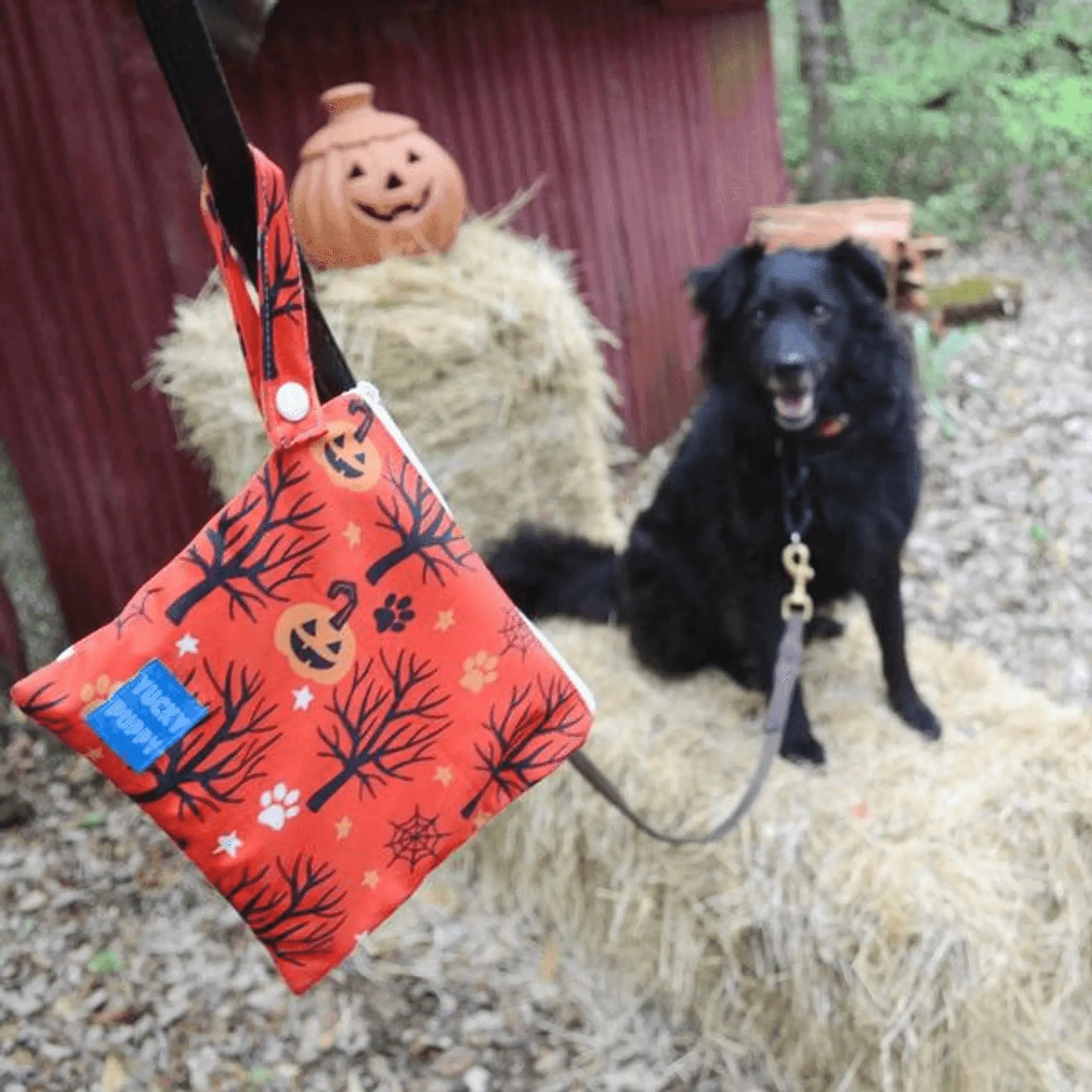 Halloween Yucky Puppy Poop Bag Carriers Yucky Puppy