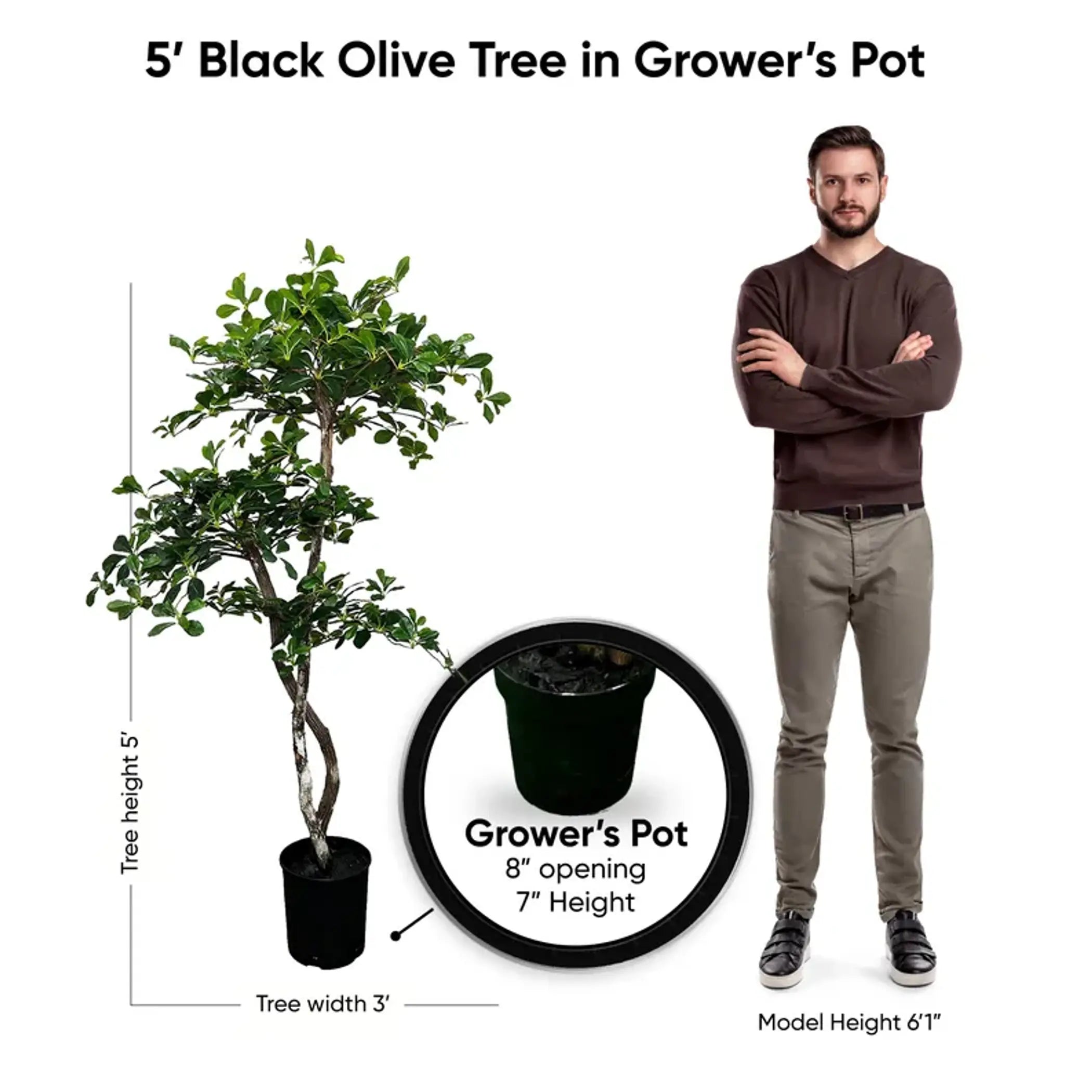 Handmade 5' Black Olive Leaf Artificial Tree with Ethically Sourced Real Wood Trunks United Supply Industries
