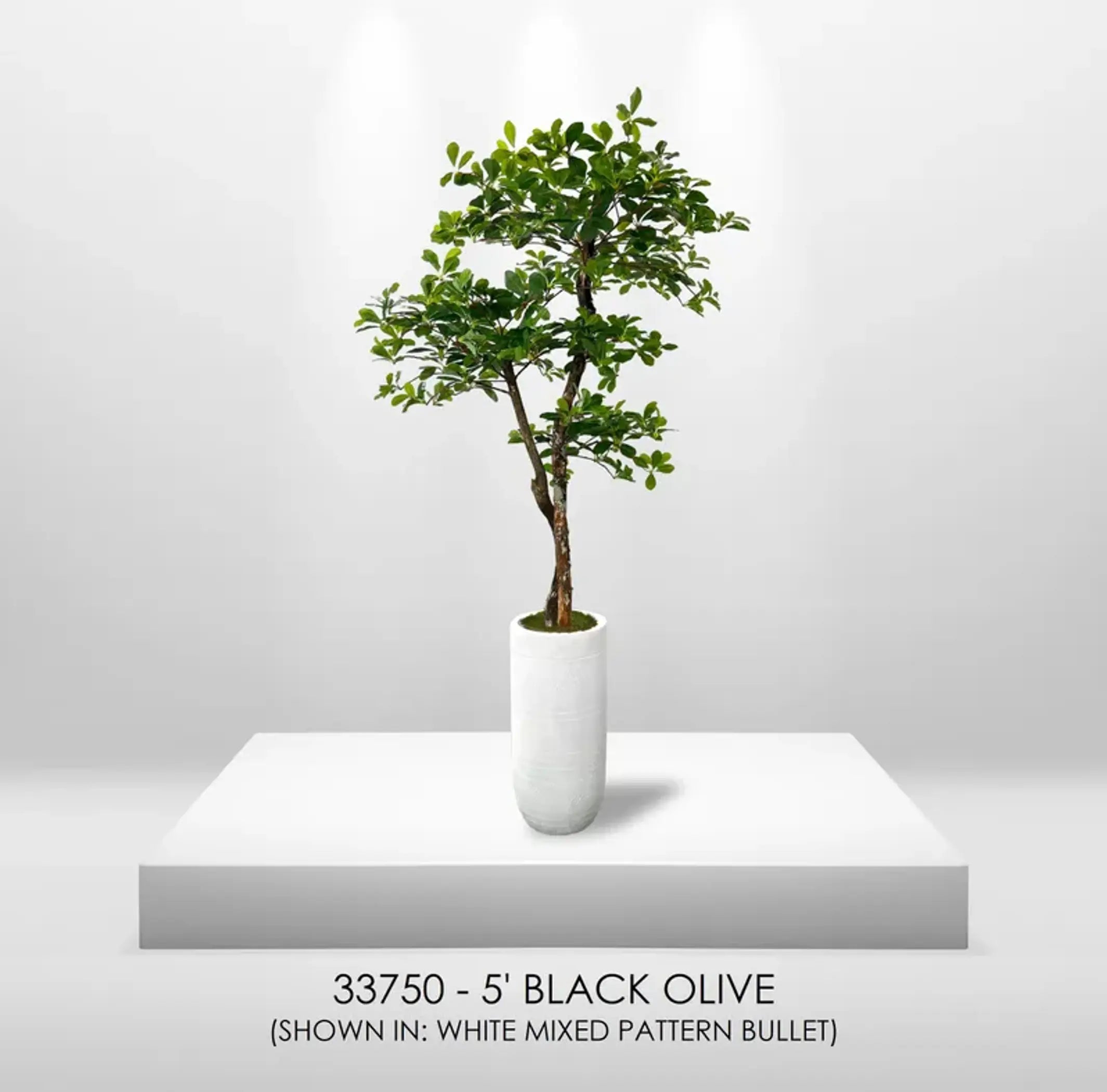 Handmade 5' Black Olive Leaf Artificial Tree with Ethically Sourced Real Wood Trunks United Supply Industries