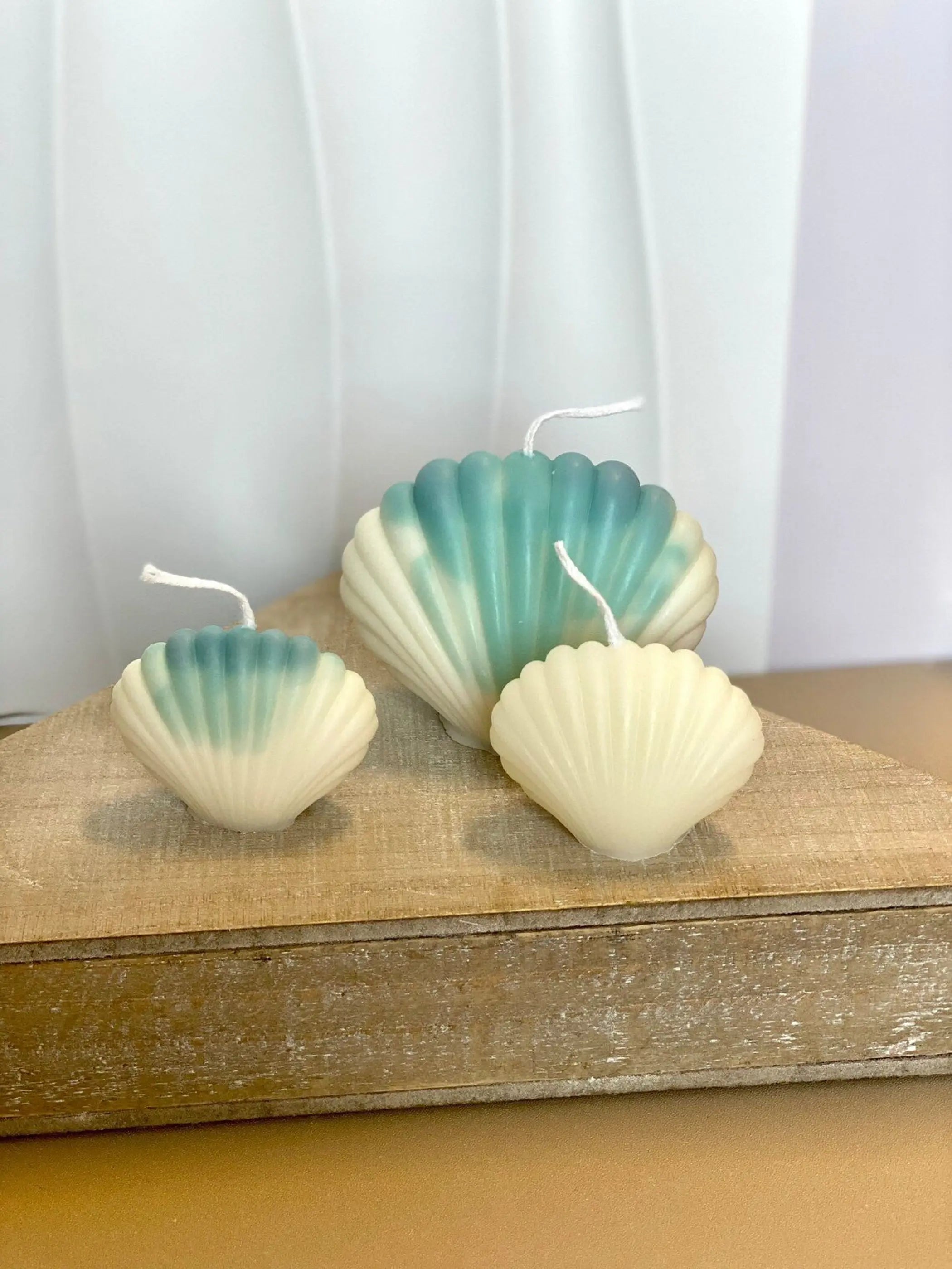 Handmade Soy Wax Shell Candles AmberLane