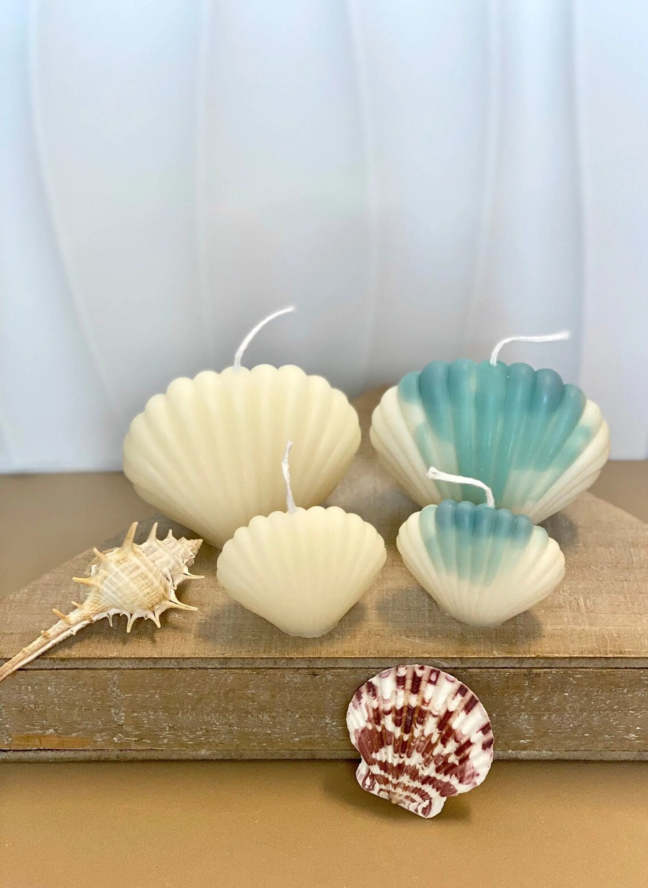 Handmade Soy Wax Shell Candles AmberLane