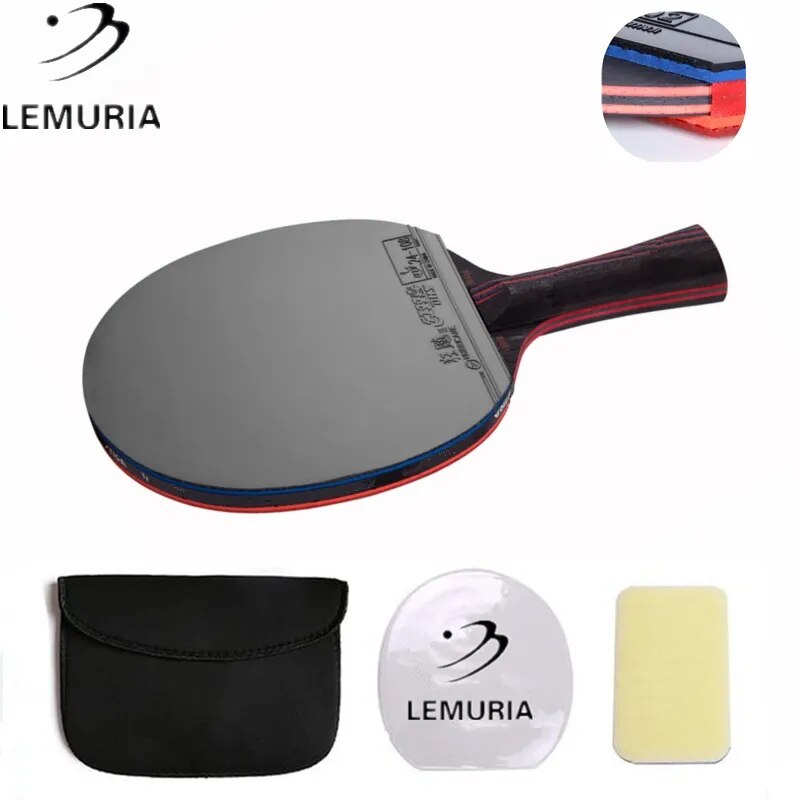 Professional Hybrid wood 9.8 table tennis racket with brand pimples in table tennis rubber FL handle CS handle ping pong bat