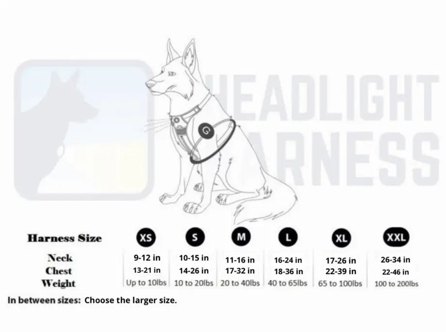 Headlight Harness, Dog Harness with Built In LED Light Headlight Harness