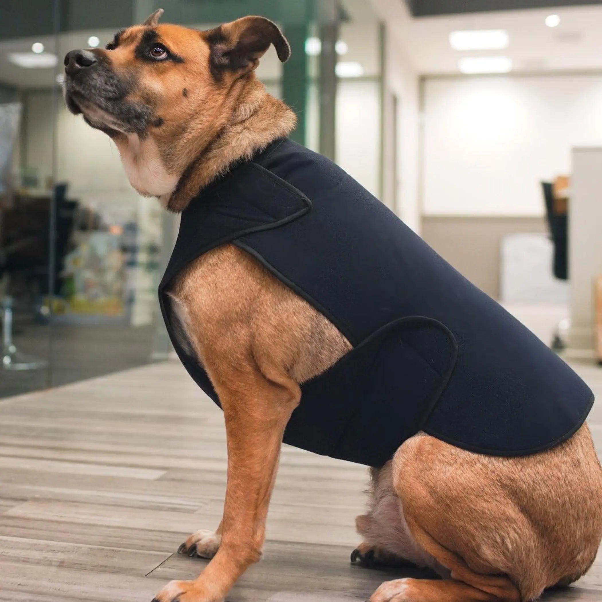 Healers Therapeutic & Anxiety Front Body Wrap Healers Petcare
