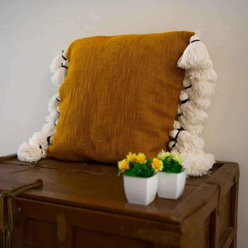 Hermosa Throw Pillow Bit of Meraki
