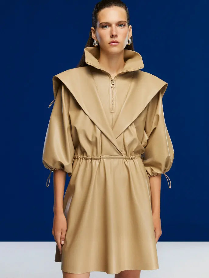 High Collar Leather Mini Dress Monique Store