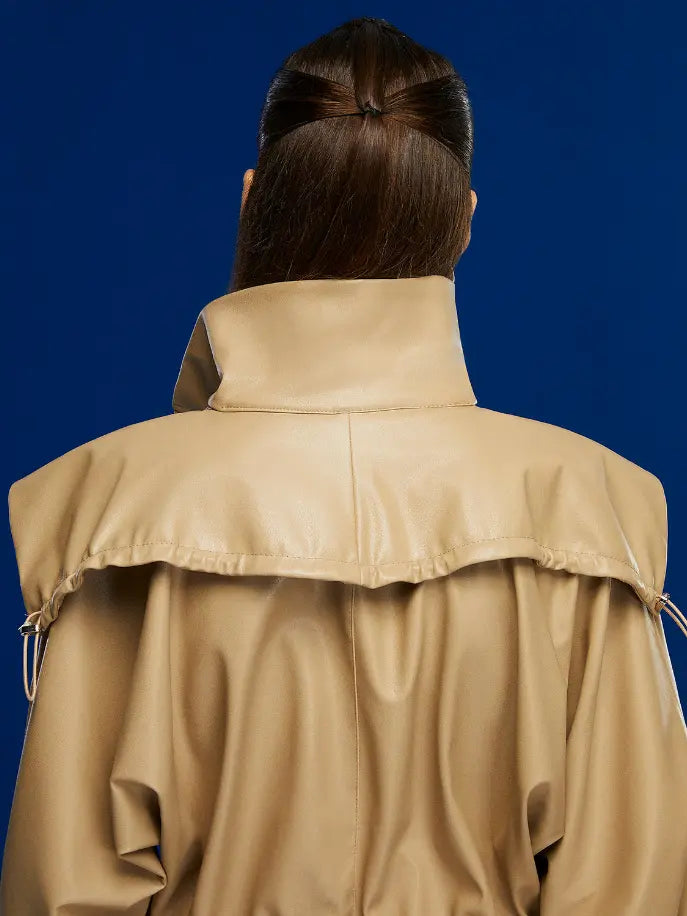 High Collar Leather Mini Dress Monique Store