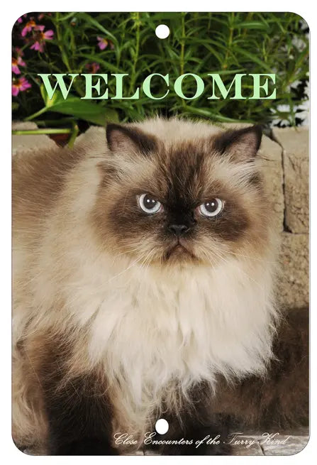 Himalayan Cat - Best of Breed  Indoor/Outdoor Aluminum Sign Best of Breed