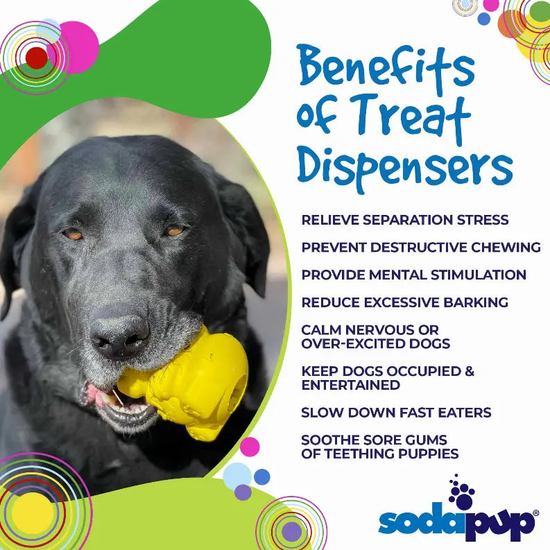 Honey Bear Treat Dispenser SodaPup