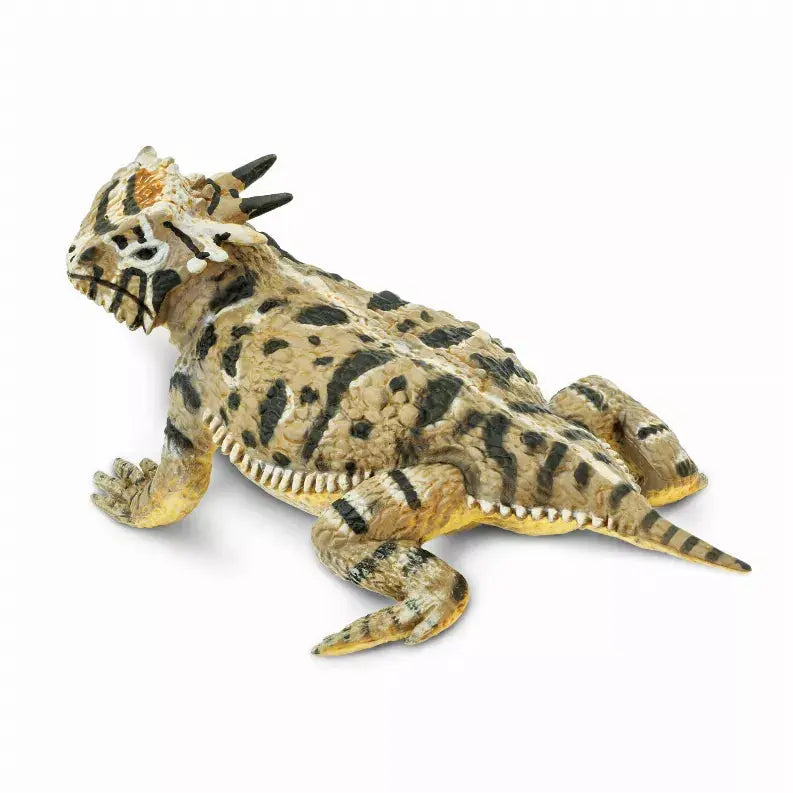 Horned Lizard Safari LTD