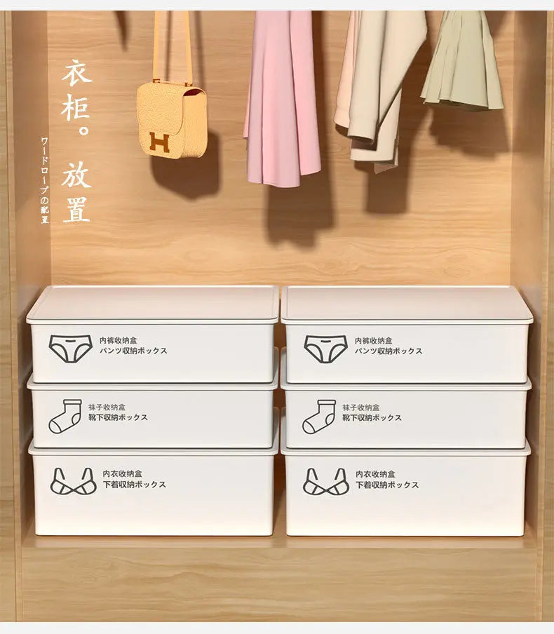 Household Intimates and Socks Storage Box Plastic Cosmetics Organizer Storage Intimates Bra Intimates Compartment Storage Box GreatEagleInc