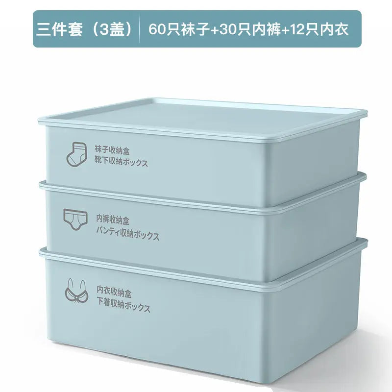 Household Intimates and Socks Storage Box Plastic Cosmetics Organizer Storage Intimates Bra Intimates Compartment Storage Box GreatEagleInc