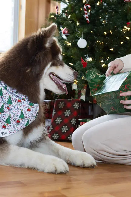 Howliday Cheer Dog Bandana Aria the Fox