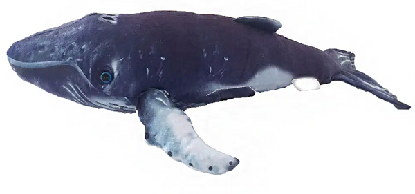 Humpback Whale 16" Plush Stuffed Animal Texas Toy Distribution