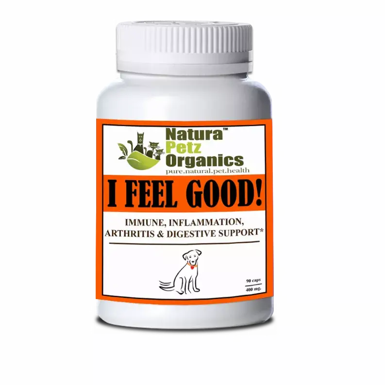 I Feel Good - Immune, Inflammation, Joint & Digestive Support* Dogs And Cats Organic Pet Systems