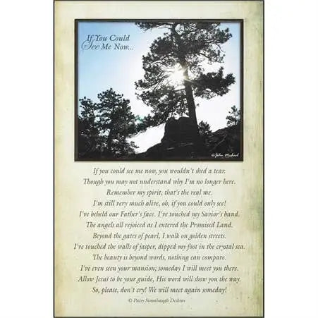 If You Could See Me Now By John Michael Dicksons Inc