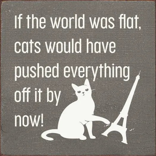 If the World Was Flat Wood Sign Sawdust City