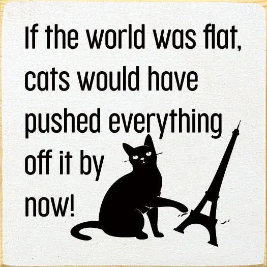 If the World Was Flat Wood Sign Sawdust City