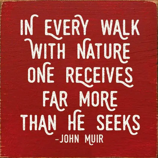 In every walk with nature... - John Muir Sawdust City