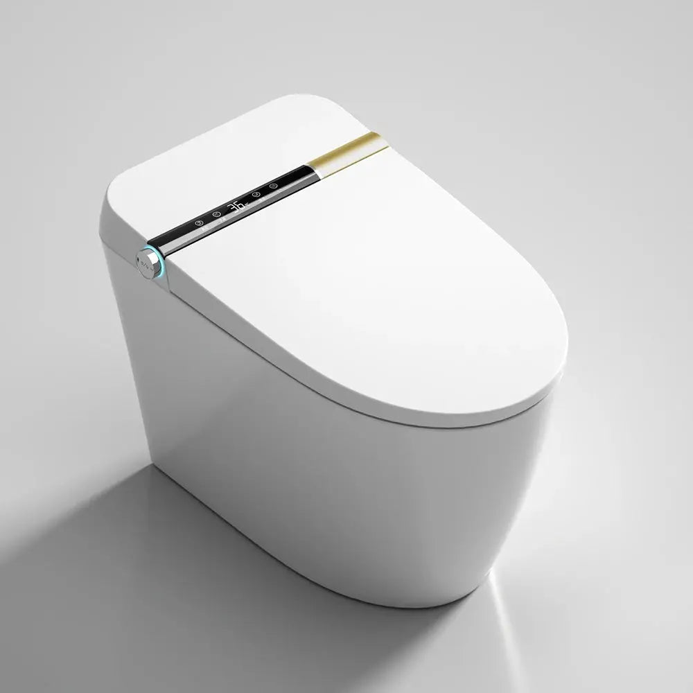 Intelligent Sanitary Ware WC  Water Closet Bathroom Ceramic Floor Mounted Automatic Seat Electric Smart Toilet Bowl GreatEagleInc