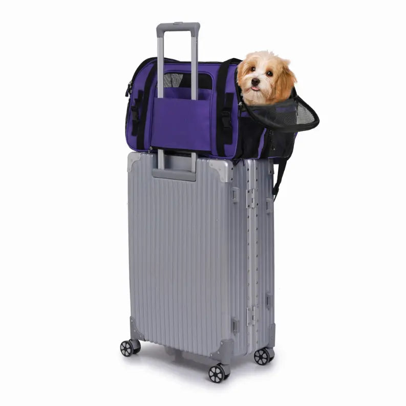 JESPET Soft-Sided Kennel Pet Carrier for Small Dogs, Cats, Puppy, Airline Approved Cat Carriers Dog Carrier Collapsible, Travel Handbag & Car Seat JESPET