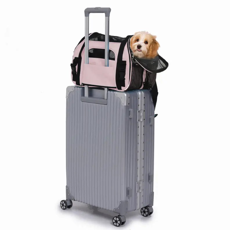 JESPET Soft-Sided Kennel Pet Carrier for Small Dogs, Cats, Puppy, Airline Approved Cat Carriers Dog Carrier Collapsible, Travel Handbag & Car Seat JESPET