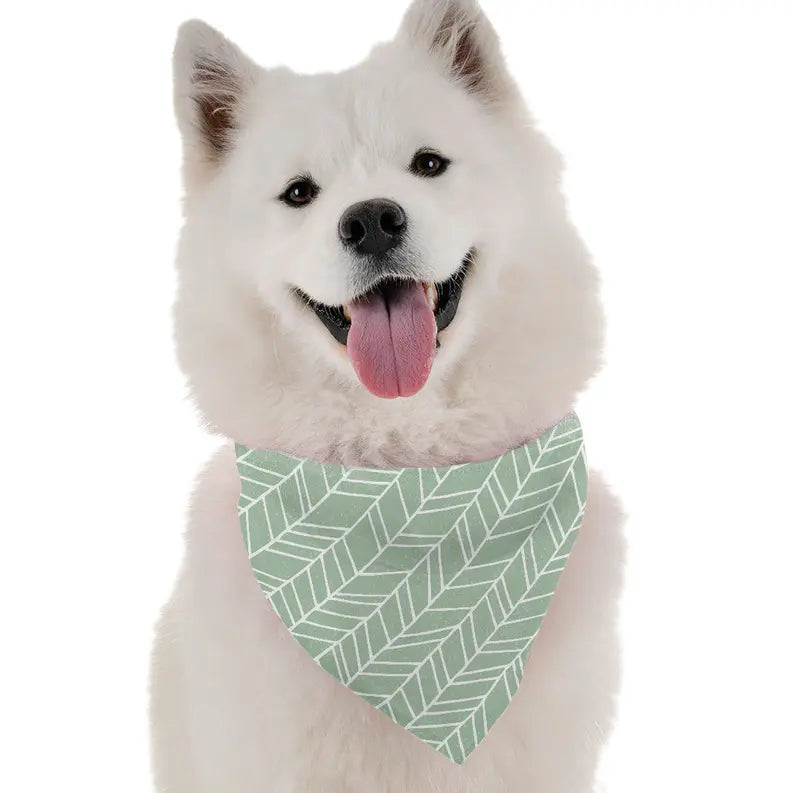 Jade Bandoggies