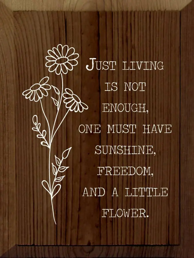 Jusy Living Is Not Enough, One Must Have Sunshine, Freedom.. Sawdust City