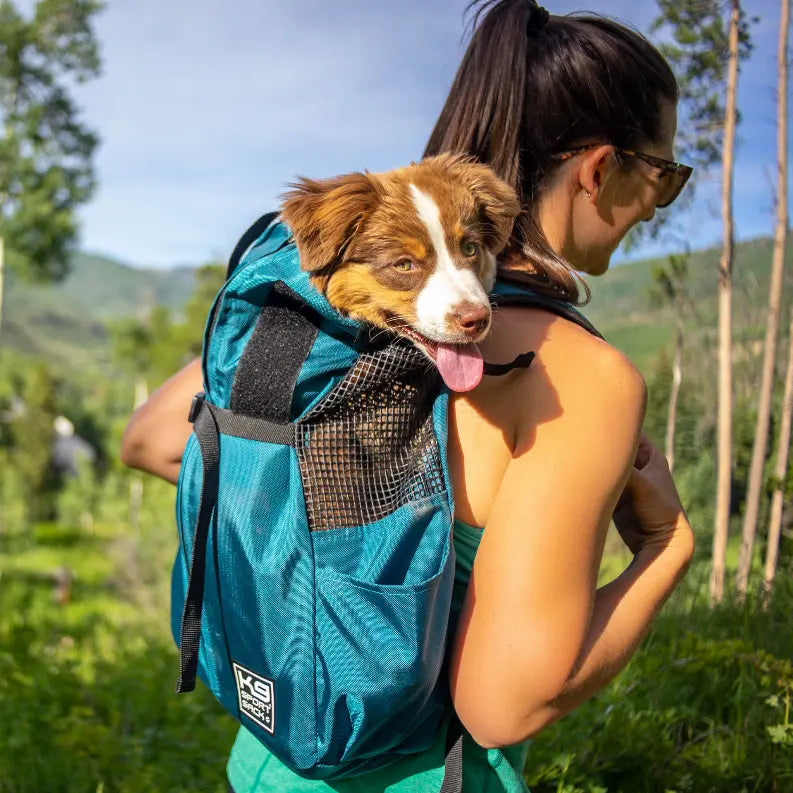 Blue mesh pet carrier backpack for dogs, ideal for hiking, featuring adjustable straps and breathable materials.