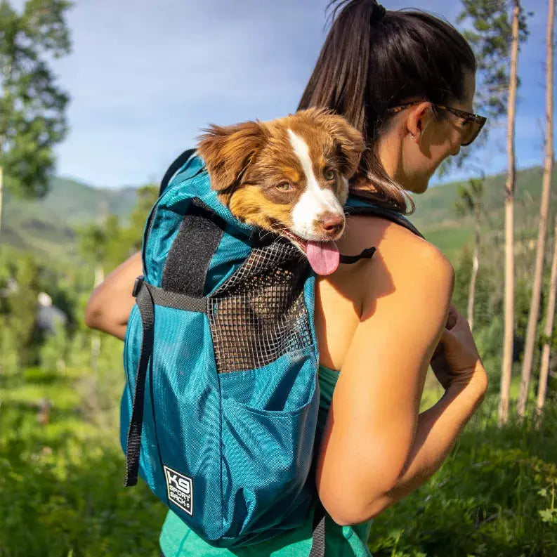 Teal dog carrier backpack with mesh panel, worn by a woman outdoors, featuring a happy brown and white puppy.