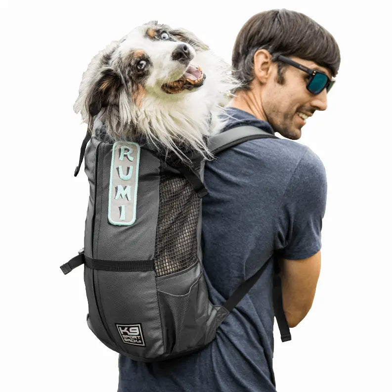 Black dog carrier backpack with mesh panel, featuring teal accents, perfect for hiking with your pet.