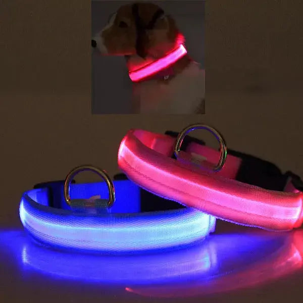 LED PET Safety Halo Style Collar Vista Shops