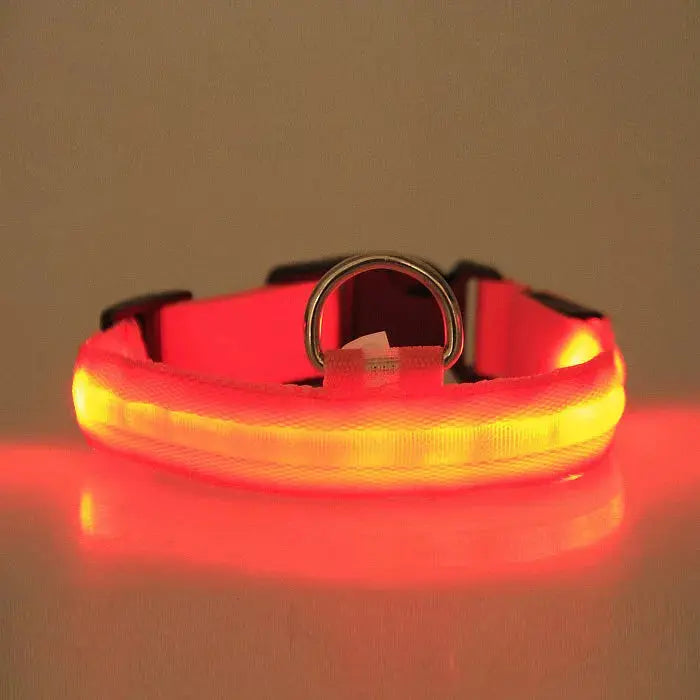LED PET Safety Halo Style Collar Vista Shops