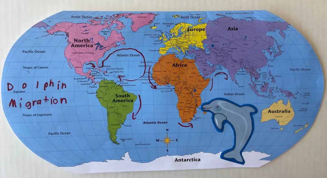 Labeled World- Practice Maps Creative Shapes