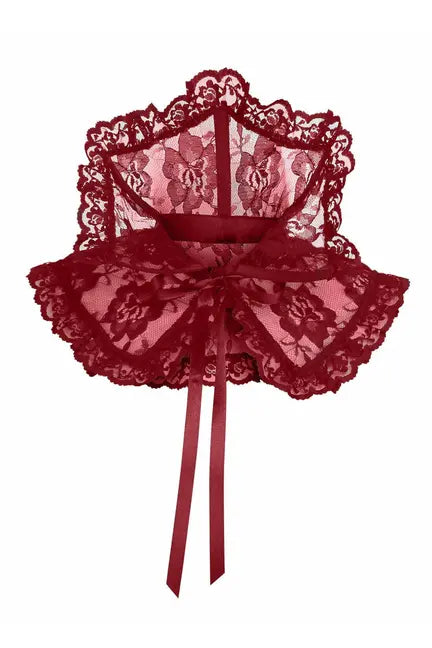 Lace Neck Collar Daisy Corsets