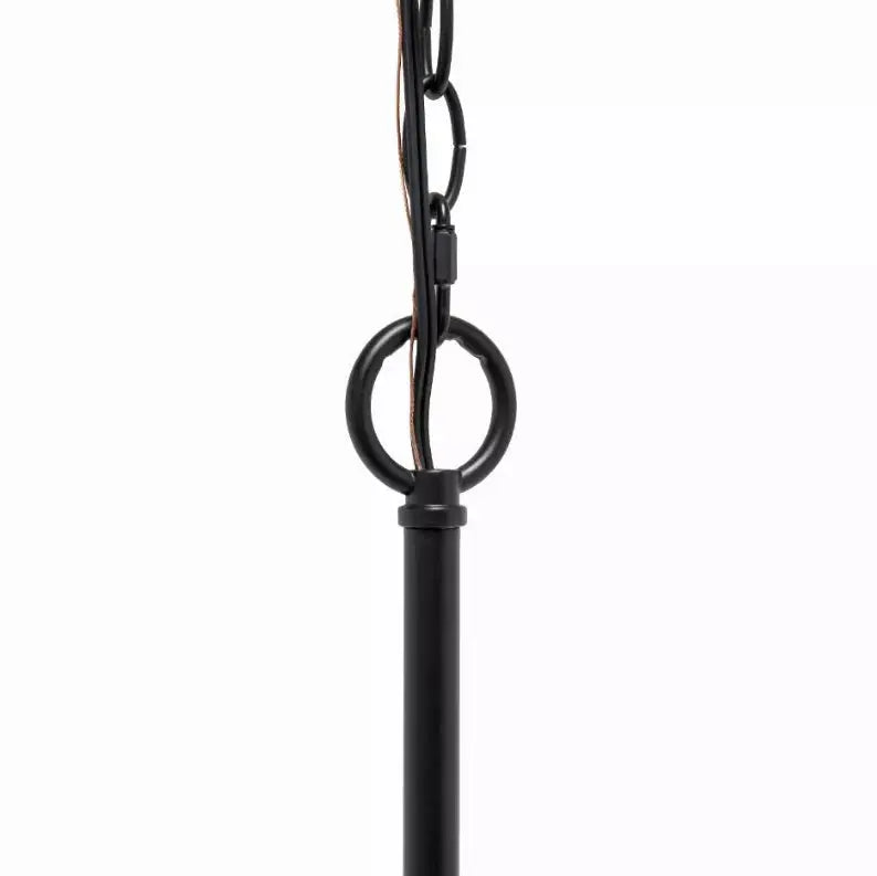 Lalia Home 5-Light 20.5" Classic Contemporary Clear Glass and Metal Hanging Pendant Chandelier All The Rages, Inc.