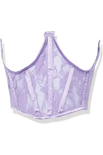 Lavish Sheer Lace Underwire Waist Cincher Corset Daisy Corsets