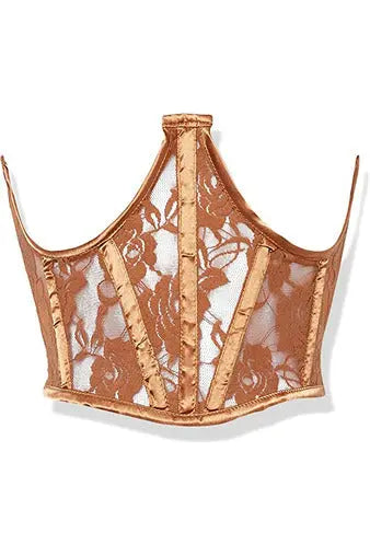 Lavish Sheer Lace Underwire Waist Cincher Corset Daisy Corsets