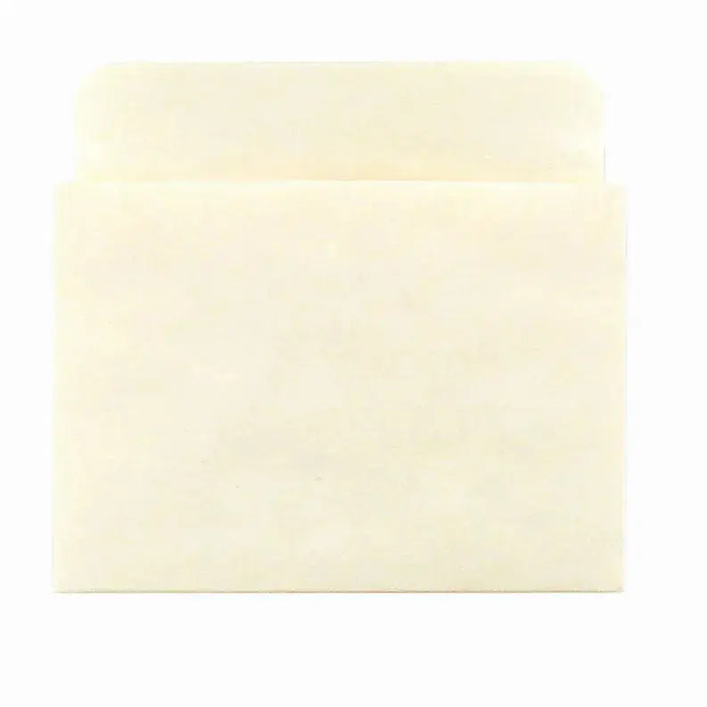 Library Pockets - Manila Hygloss Products