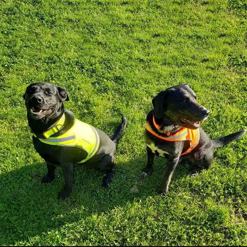 Lite Dog Vest. Coverage to Mid Back. Reflective Hi Visibility Blaze Orange Fluorescent Fabric Helps to Keep Them in Sight and Safe On and Off Leash. Safetypup Xd