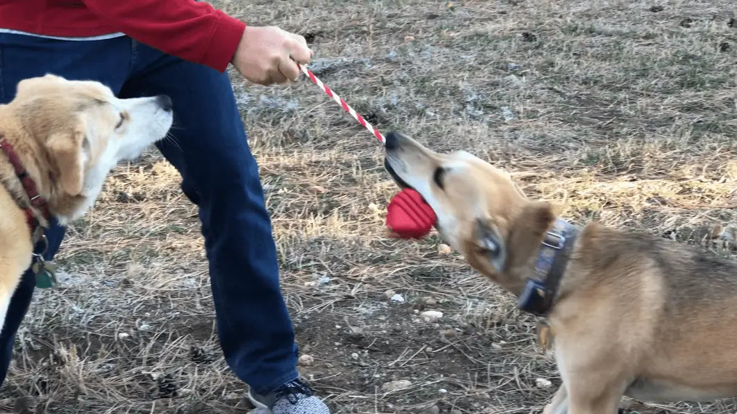 MKB Heart on a String Ultra-Durable Durable Rubber Chew Toy, Reward Toy, Tug Toy, and Retrieving Toy SodaPup