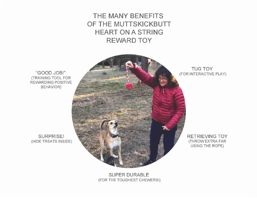 Durable red heart-shaped dog toy on a string for tugging and retrieving; ideal for training and play.